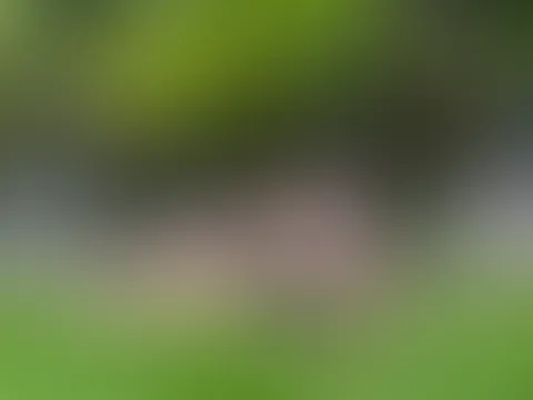 Hii👄 mein neues User-Video ist JETZT online!! Nur heute bekommst du auf dieses Video -50% Rabatt Also schnell zugreifen und ganz viel Spaß dabei... Und Vorsicht - es wird richtig heiß und ziemlich fe
