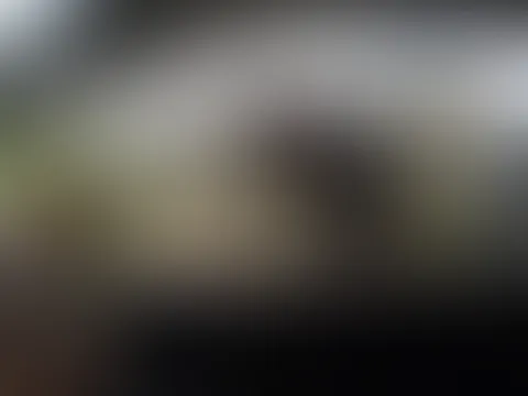 BILLIGE Squirtf***e!|Outdoor ABGESCHLEPPT, aus dem Auto vom fremden EXTREM ABGESQUIRT+ ANWIXXEN💦💦!!