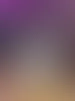 đ