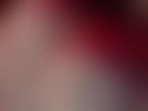 🤍🤍🤍🤍