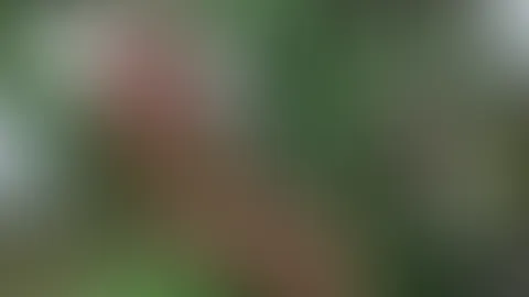 😏☺️☺️☺️