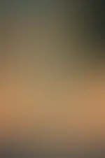 Zu zweit im Wald? Würde dir das gefallen?