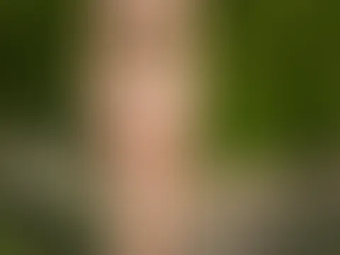 Bist du Dominant oder Devot?🥵😈