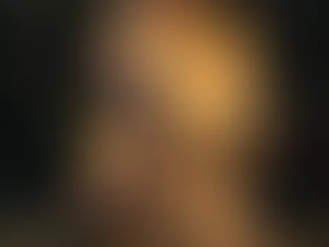 🎄✨Frohe WeihnachtenFrohe Weihnachten✨🎄 Ich habe mich für dich in Lichter gehüllt aber vielleicht bringe ich auch mehr als nur festliche Stimmung!