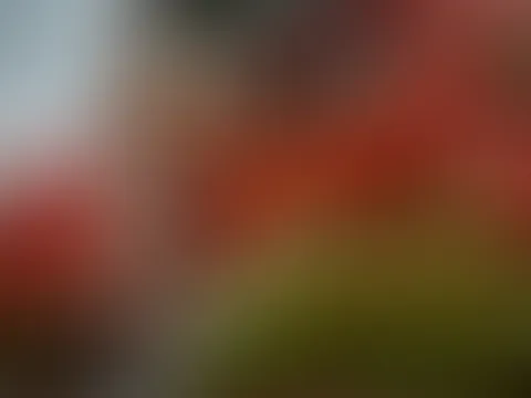 EXKLUSIVER Einblick in das Kalendershooting von Viviens Landleben!