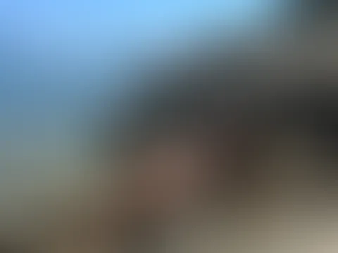 đ
