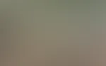 Mal was neues. Meine Netze. Bitte auspacken.
