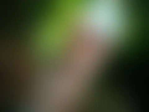Nur ein kleiner Spaziergang, eskaliert trotzdem 😏😈