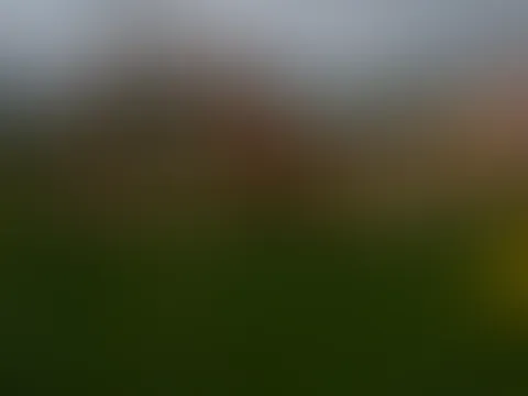 Natur PUR in der Blumenwiese