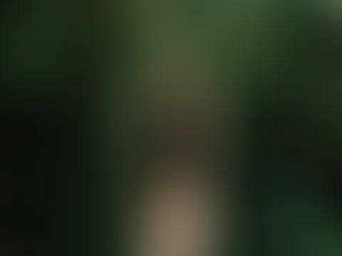 🔥🌿🍃🌱