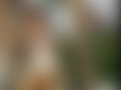 F**kst du mich heimlich hier bei der Palme?