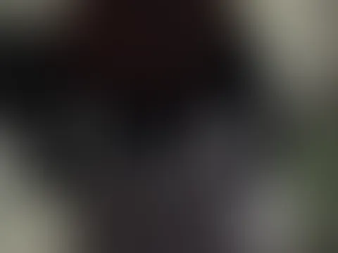 đ