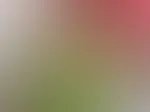 Na, und was hast du heute schon gemacht? Ich hab mit meinem Dildo gespielt 😇
