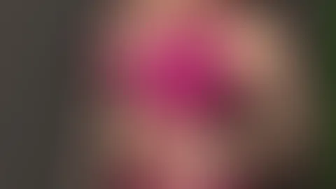 Venus 2026