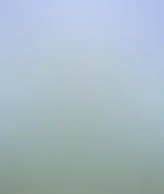 Feed Post