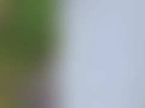 Kaum zu glauben, dass ich mich das getraut habe... đ„