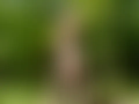Bei diesem Foto wurde ich tatsächlich erwischt..wie hättest du reagiert?