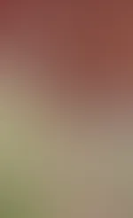 Der Frühling kann kommen…