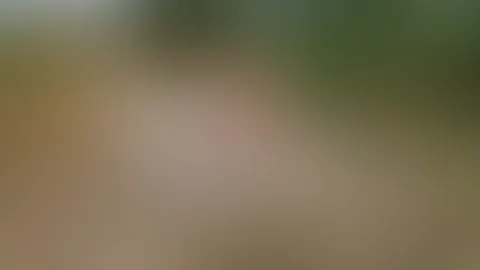 Knackiger Wochenend-Start am Feldweg... 🌲🔥