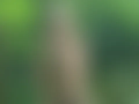 Ich war im Wald..