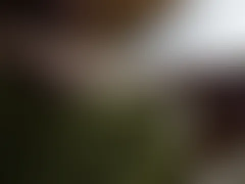 wo würdest du gerne zuerst hinfassen, welchen Teil meines Körpers würdest du gerne als erstes berühren? und mit welchem Teil deines Körpers?