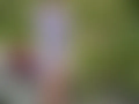 Man könnte meinen ich liebe "Rosen" 🤭😍 würdest du mir auch eine Rose überreichen? Bald kommen neue inhalte und wenn du meinen feed abo hast, wirst du wie ein VIP behandelt von mir und bekommst viele