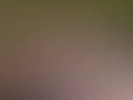 Wir machen dich süchtig – versprochen.