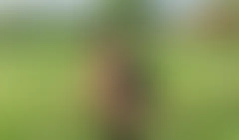 In der Natur selbst befriedigt dazu einen Plug im Po und zum Schluß gepinkelt