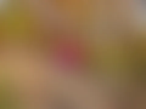 Winterkuss ❤️ ❤️ Samstag und Sonntag wieder online vor der Kamera ❤️ 🍀 Ich freue mich auf Dich 🍀 ❤️ Schönes Wochenende an alle !!!! ❤️