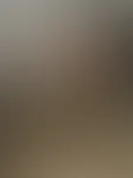 Würdest du mich gerne von meinen Pflichten abhalten?