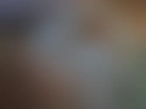 Was machst du an diesem schönen Tag ? ☀️