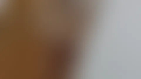 What have you been up to?