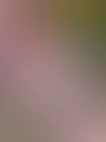 Danke an alle Abonnenten für jede Unterstützung 😋🤤 jeden orgasmus 💦🔥ihr seit die geilsten Fans ❤️