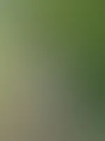 Guten Morgen Baby! 😏🍑 Wollte Dir nur schnell nen A***h geilen Freitag wünschen! 😍 Küsschen auf Nüsschen! 💋