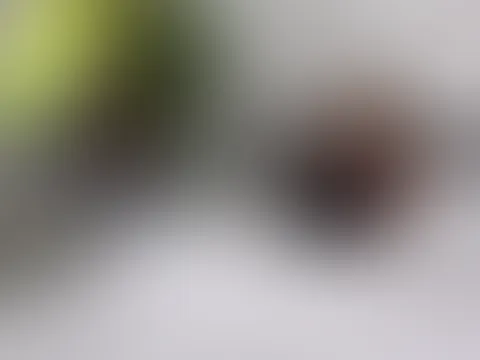 BILLIGER FAKE PRÜFER!!! Wie konnte ich bloß auf SOWAS DREISTES hereinfallen?