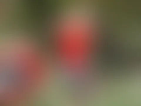 Perverser Spanner filmt mich im Videocall und spritzt ab!