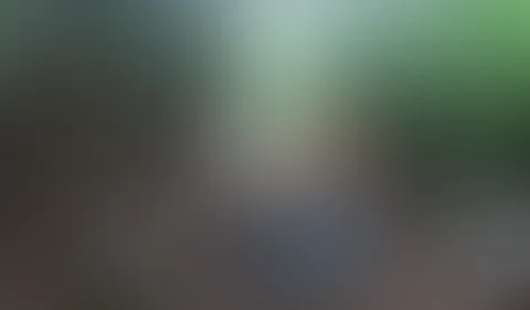 Vom Wald Weg ab"gekommen" / Girl-Girl