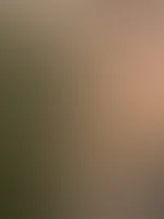 Einen schönen zweiten Advent mein Lieber! Genieße ihn mit lecker Essen und Trinken! Freue mich bald mal wieder was von Dir zu hören! Deine Lena-Lust