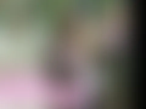 Geile Blondine am Badesee durchgeknallt und besamt 💦