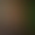 Turn your face towards the sun, and the shadows will fall behind you.