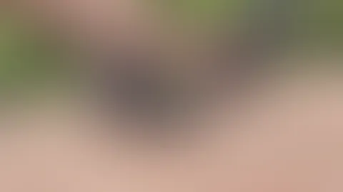 Teil 1