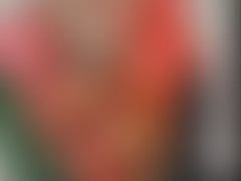 Hokus Pokus đ§ââïž