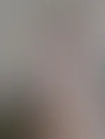 Einen wunderschönen guten Morgen 🥰🌞 habt einen schönen Mittwoch. Die Hälfte ist schon fast wieder Geschäft 🤩 Aber Grüße gehen natürlich raus an meine Landwirte❤️...dort gibt's ja jetzt erstmal se