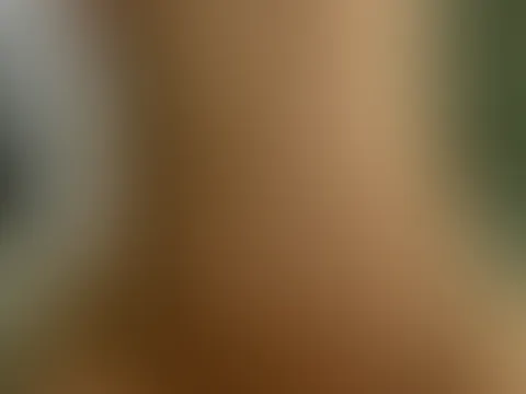 Wir haben uns der puren lust leiten lassen