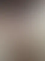 Meine Orchidee