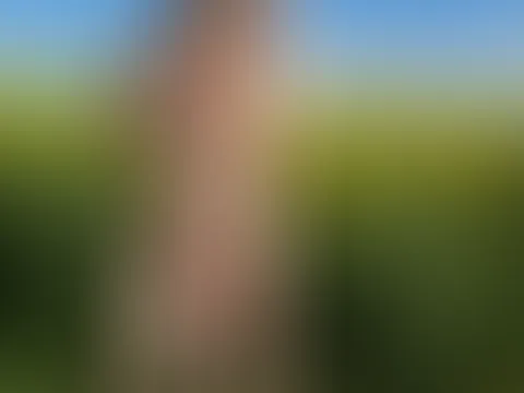 Frühlingsgefühle im Raps 😏💦 (2/3)