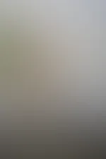XL Fotoset Verdeckter Akt / Akt