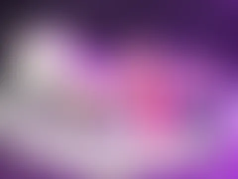 Was sagst du zu meiner schönen Sammlung?