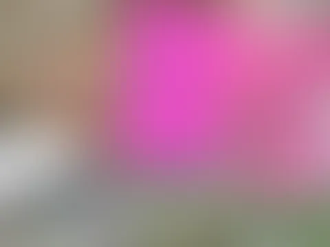 MEGA HARTER LANGER P**S-STRAHL AN ÖFFENTLICHEM RASTPLATZ! Diesmal haben mich wirklich alle gesehen!