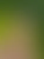 Wer mag denn Füße ?